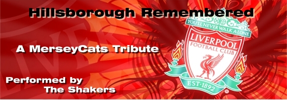 hillsborough remembered